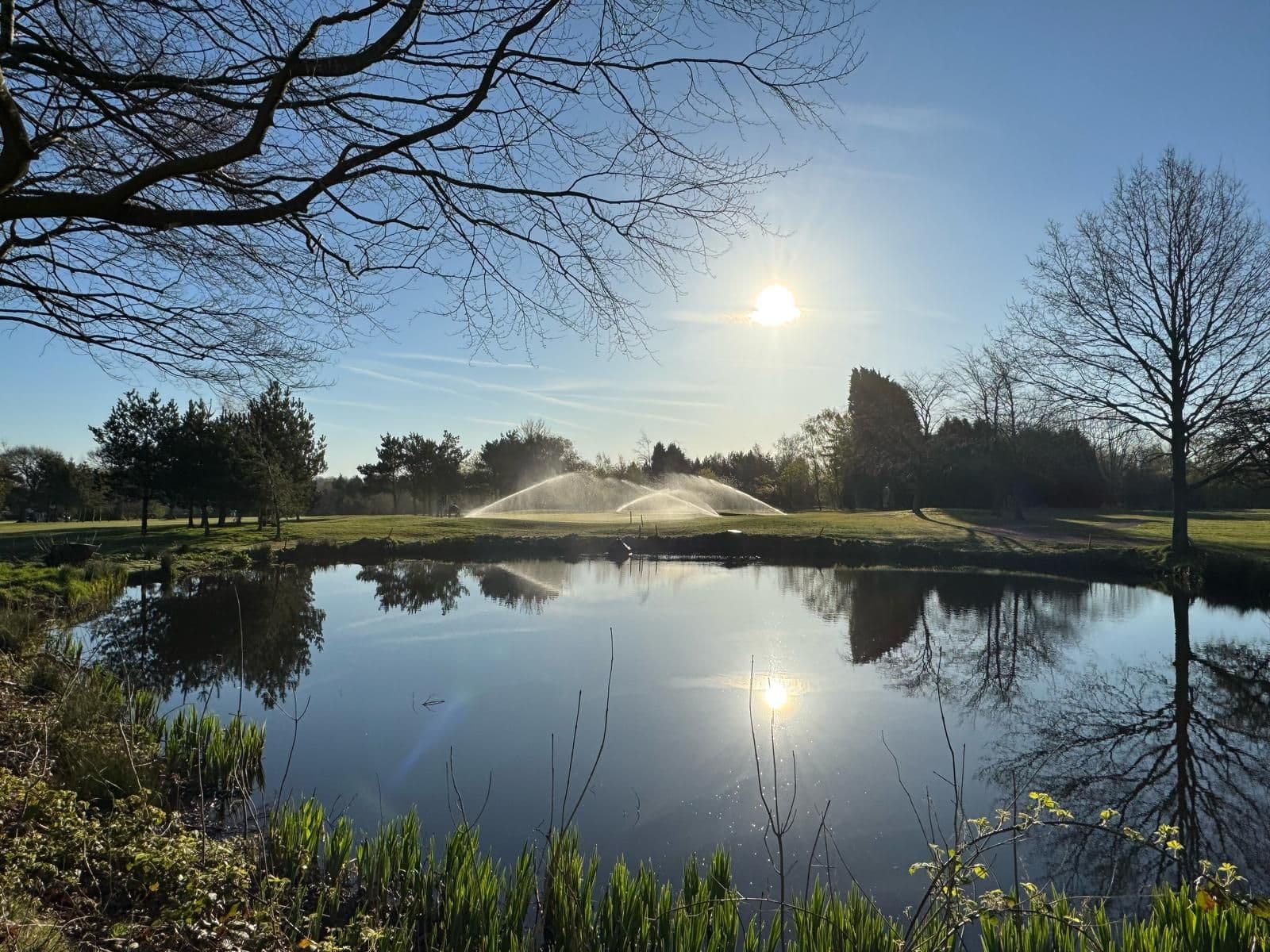 Sprinklers on the Fourth pond