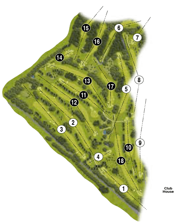 Birds-eye Illustration of course 