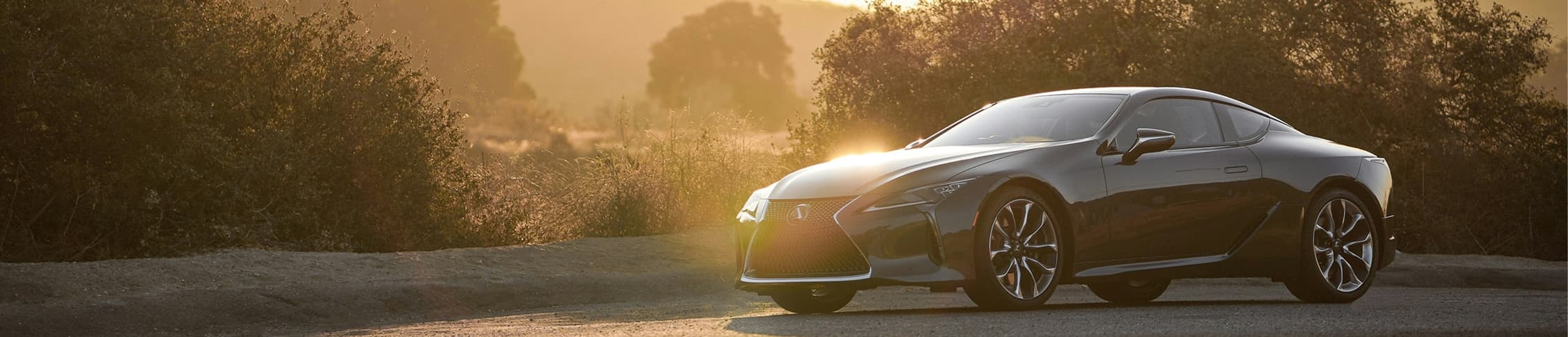 Lexus Car