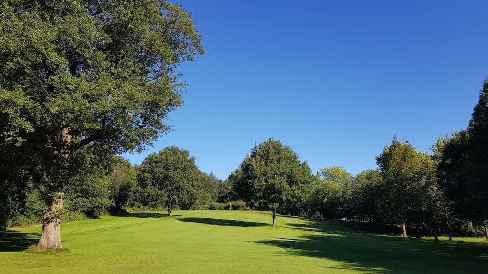 6th green approach from the fairway